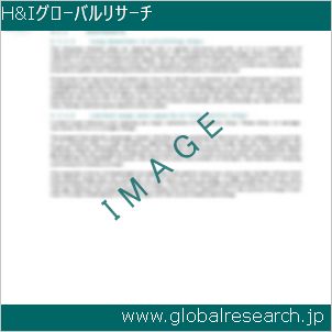 グローバルリサーチ調査レポートのイメージ